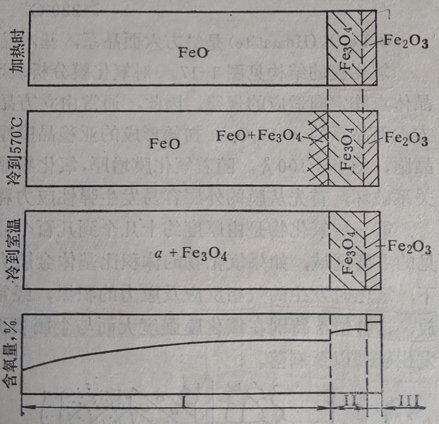 氧化層的組織結(jié)構(gòu)及其影響因素