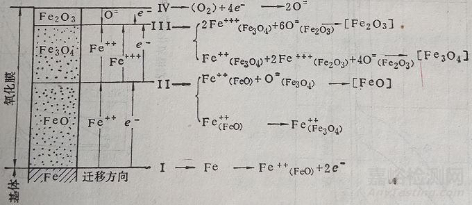 氧化層的組織結(jié)構(gòu)及其影響因素