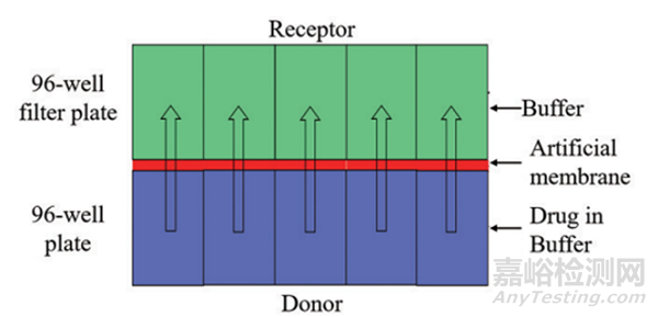新藥早期開發(fā)中關(guān)鍵理化性質(zhì)考量-滲透性預(yù)測(cè)