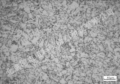 火電廠鍋爐高溫再熱器鋼管爆漏失效分析