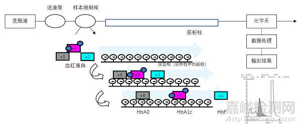 糖化血紅蛋白分析儀注冊審查指導原則正式發(fā)布（附全文）