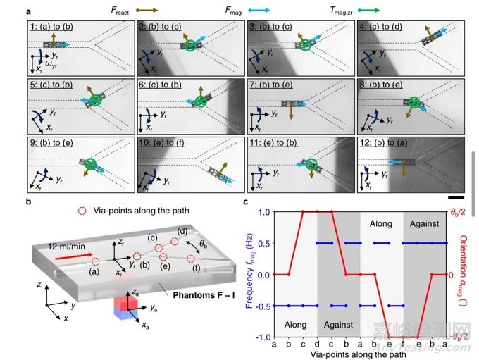 師從世界著名微小尺度機器人先驅(qū)，哈工大校友研發(fā)新型支架狀軟體醫(yī)療設(shè)備