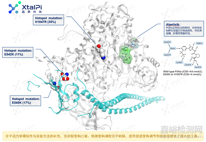 高選擇性變構(gòu)劑開發(fā)中不可或缺的動力學模擬技術(shù)