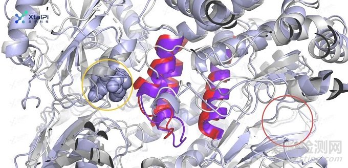 高選擇性變構(gòu)劑開發(fā)中不可或缺的動力學模擬技術(shù)