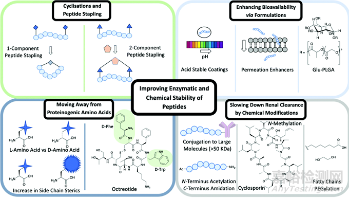多肽偶聯(lián)藥物（PDC）研究進(jìn)展