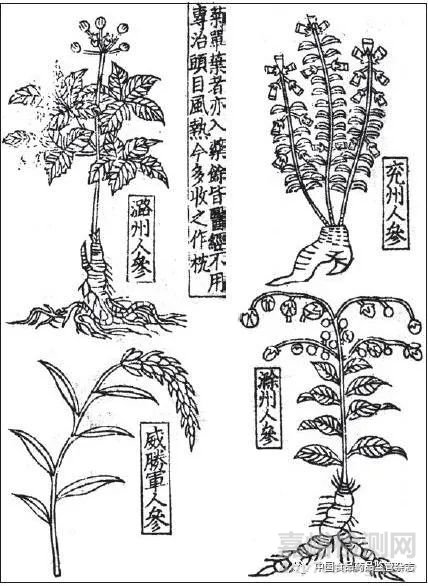 藥物名實(shí)研究的多重證據(jù)法