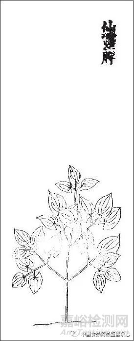 藥物名實(shí)研究的多重證據(jù)法