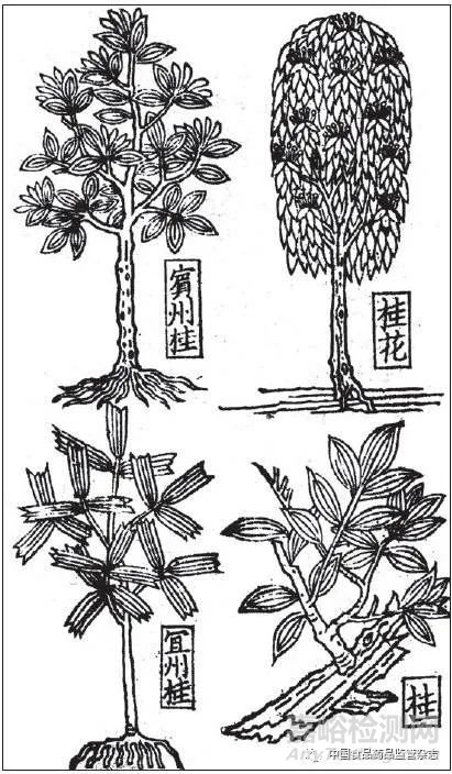 藥物名實(shí)研究的多重證據(jù)法