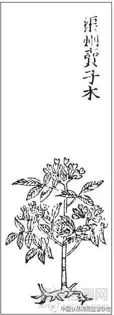 藥物名實(shí)研究的多重證據(jù)法