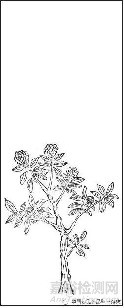 藥物名實(shí)研究的多重證據(jù)法