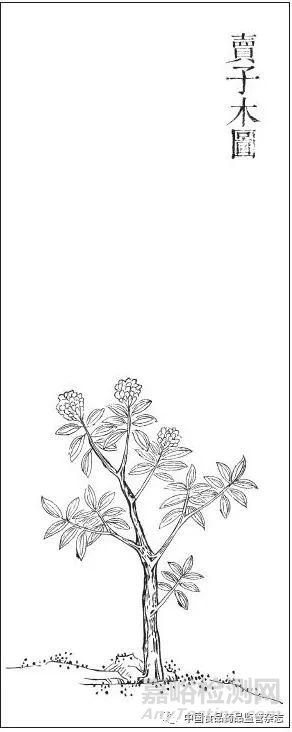 藥物名實(shí)研究的多重證據(jù)法