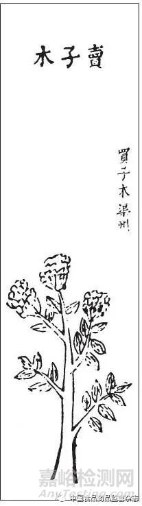 藥物名實(shí)研究的多重證據(jù)法