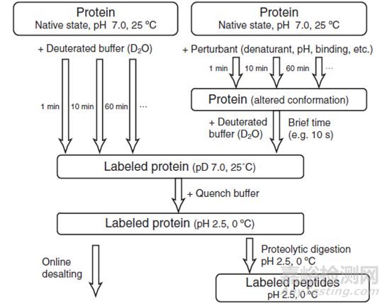 HDX在生物藥高級結(jié)構(gòu)分析中的應(yīng)用