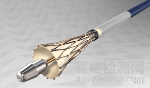 enVVe:經(jīng)導(dǎo)管靜脈瓣置換技術(shù)