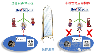 藥物手性對藥效與毒性的影響