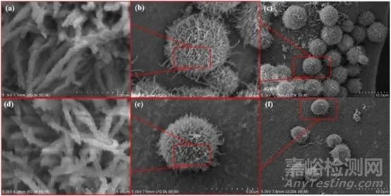 共價有機(jī)骨架(COFs)常見的表征方法