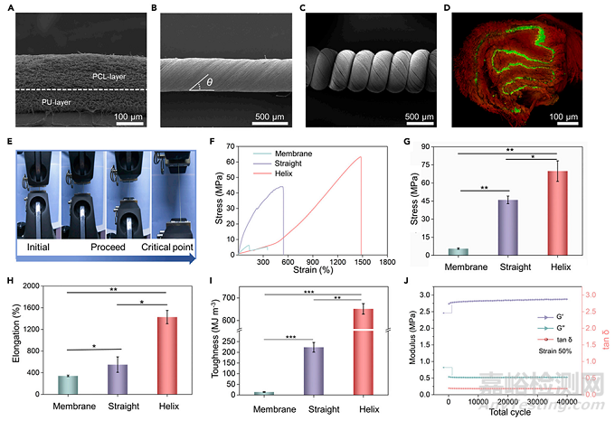 可拉伸螺旋納米纖維支架用于運動型組織動態(tài)再生