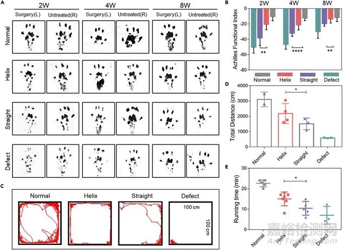 可拉伸螺旋納米纖維支架用于運動型組織動態(tài)再生