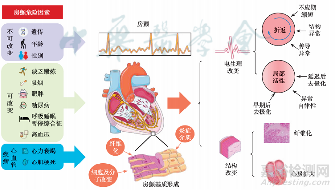 脈沖電場消融器械技術(shù)與專利分析