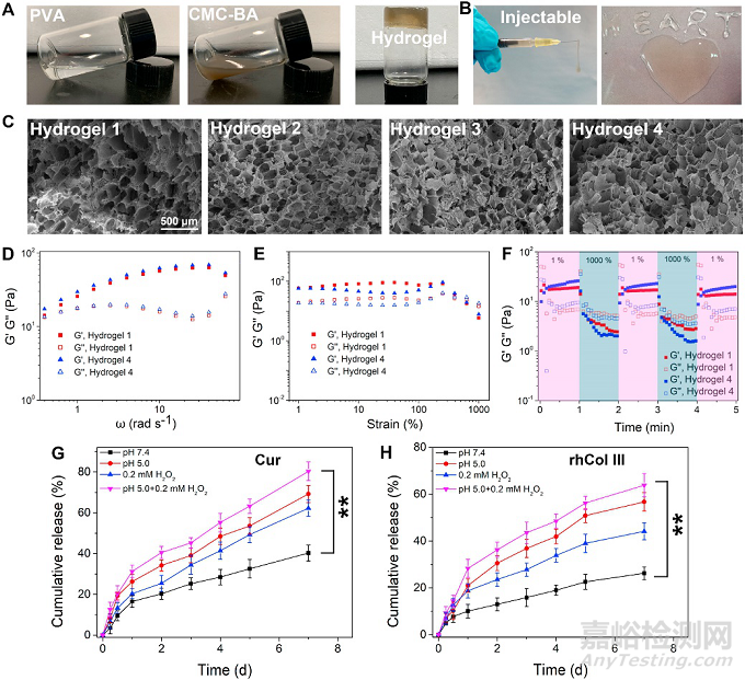 經(jīng)導(dǎo)管微創(chuàng)介入心衰治療可注射水凝膠研究取得新突破