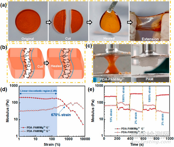 一種用于促進受感染傷口愈合的鎂離子/聚多巴胺復(fù)合水凝膠