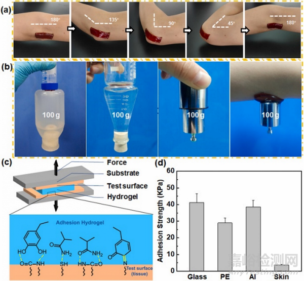 一種用于促進受感染傷口愈合的鎂離子/聚多巴胺復(fù)合水凝膠