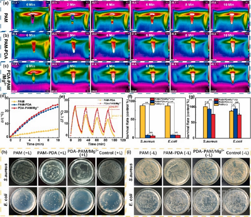 一種用于促進受感染傷口愈合的鎂離子/聚多巴胺復(fù)合水凝膠