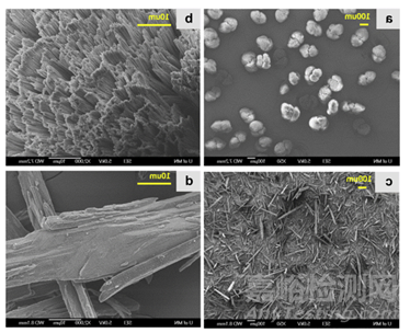 晶癖在固體制劑生產(chǎn)中所發(fā)揮的作用