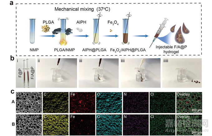 基于液固轉(zhuǎn)化多功能植入物的磁熱動(dòng)力免疫治療策略增強(qiáng)抗三陰乳腺癌療效