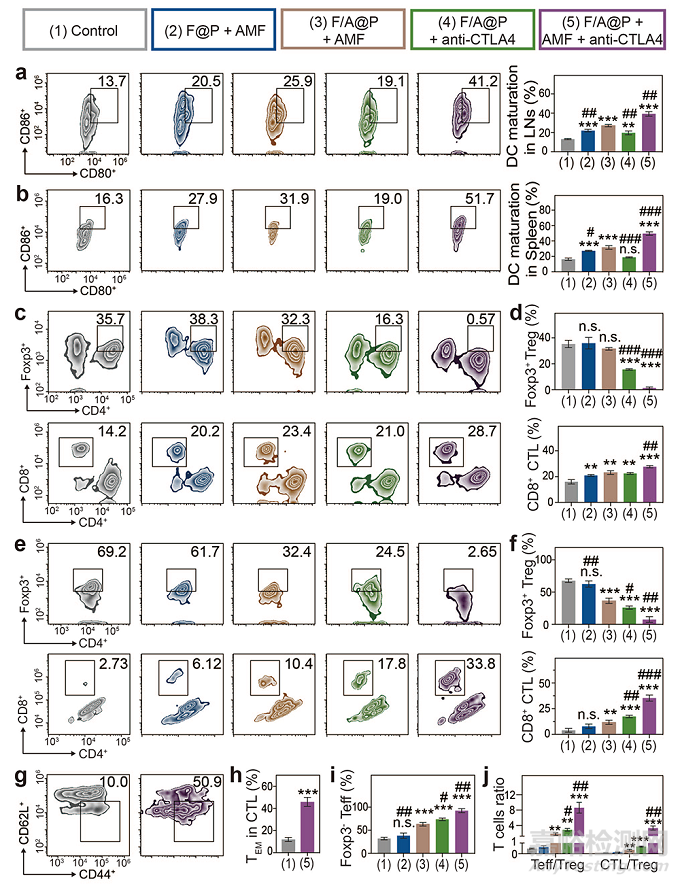 基于液固轉(zhuǎn)化多功能植入物的磁熱動(dòng)力免疫治療策略增強(qiáng)抗三陰乳腺癌療效
