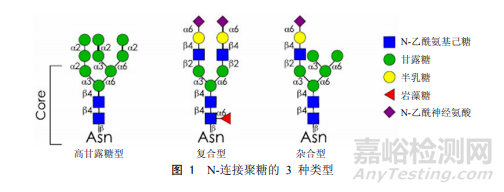 單克隆抗體糖基化修飾研究