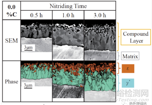 碳濃度對滲氮化合物層生長的影響
