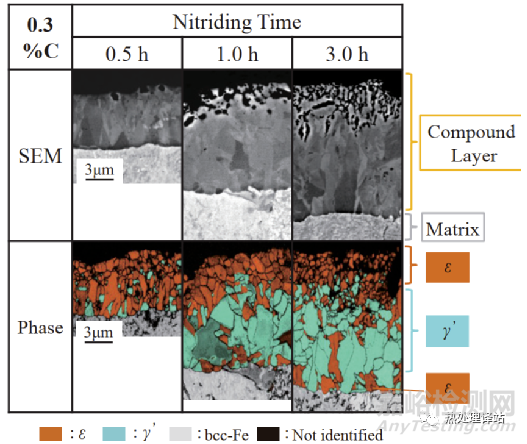 碳濃度對滲氮化合物層生長的影響