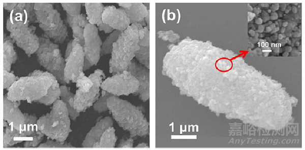 超全SEM測試制樣攻略
