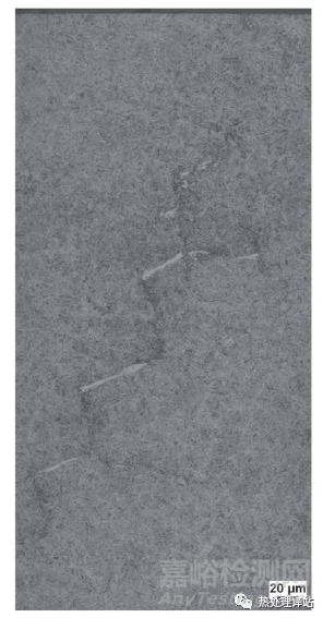 軸承白蝕裂紋（WEC）失效分析