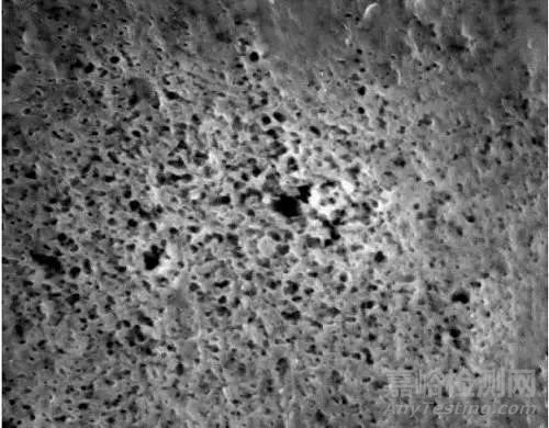 掃描電鏡SEM測(cè)試常規(guī)樣品制備