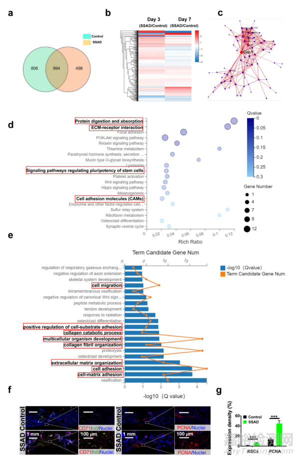 可用于促進傷口愈合的局部緩釋藥物水凝膠