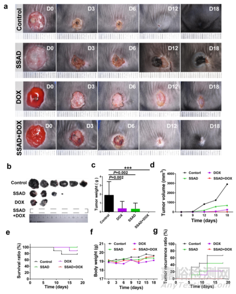 可用于促進傷口愈合的局部緩釋藥物水凝膠