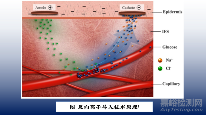 無創(chuàng)血糖測量技術(shù)之微波法及電化學(xué)方法