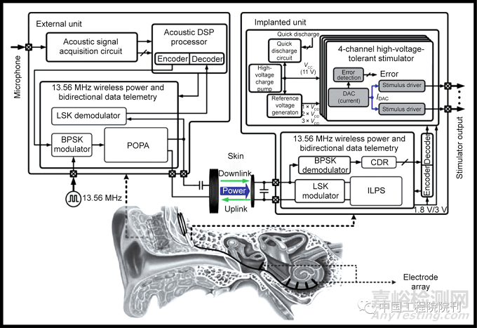 用于人體器官的無線生物電子器件