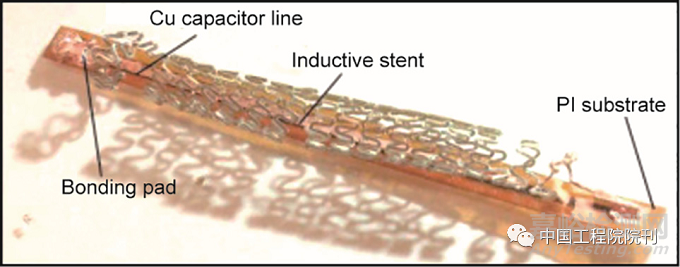 用于人體器官的無線生物電子器件