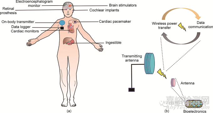 用于人體器官的無線生物電子器件