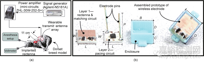 用于人體器官的無線生物電子器件
