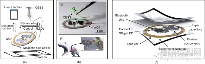 用于人體器官的無線生物電子器件