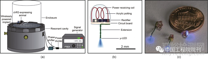 用于人體器官的無線生物電子器件