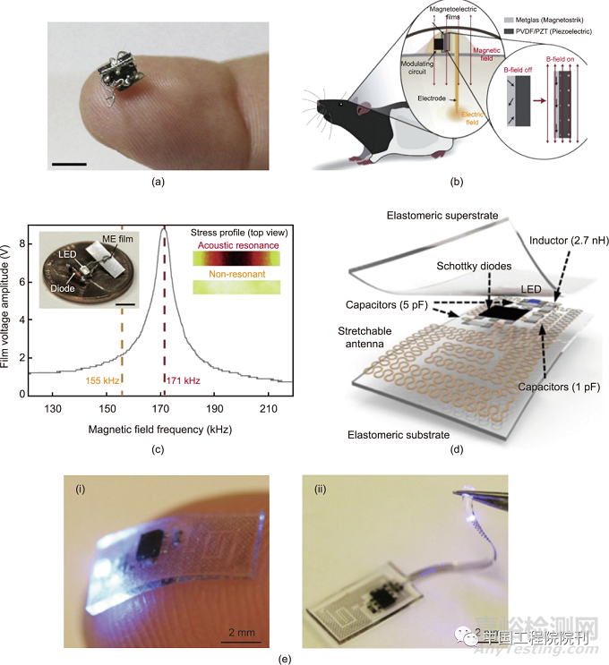 用于人體器官的無線生物電子器件