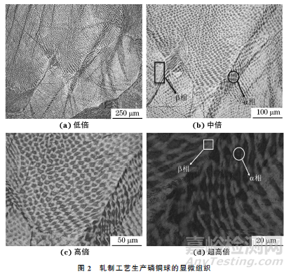 軋制與鐓制工藝生產(chǎn)磷銅球的顯微組織和硬度對比