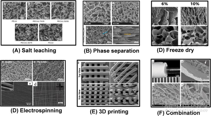 用于組織修復生物可降解熱塑性聚氨酯的設計