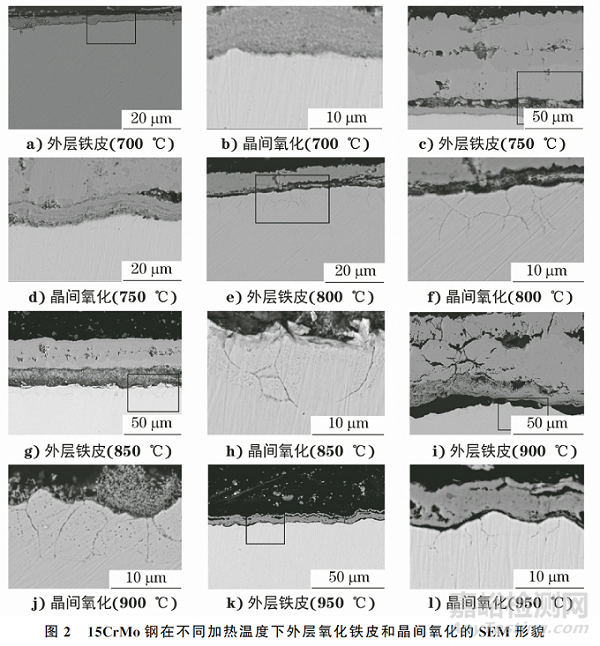 加熱溫度對(duì)15CrMo鋼晶間氧化行為的影響