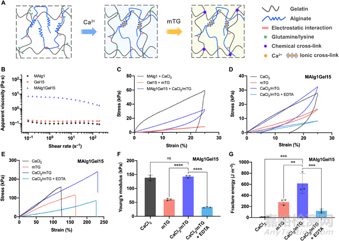 微流控同軸生物打印基于強韌水凝膠的功能化人工血管